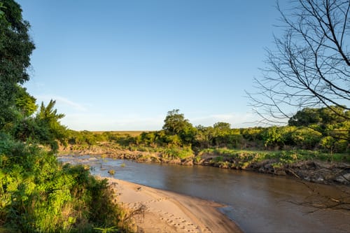 Masai Mara
