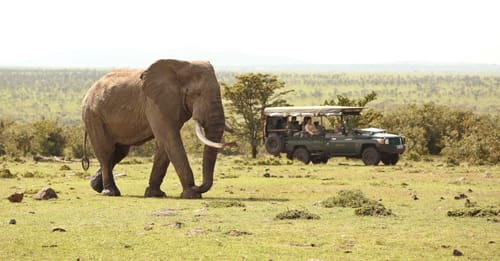 Masai Mara