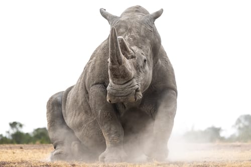 MM Conservancies