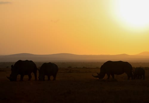 MM Conservancies