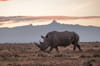 MM Conservancies