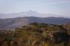 Mt. Kenya