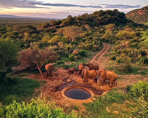 Tsavo East