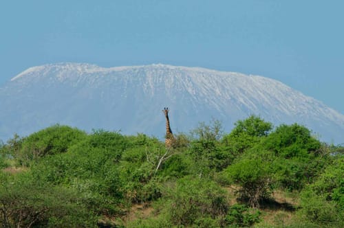 Tsavo East