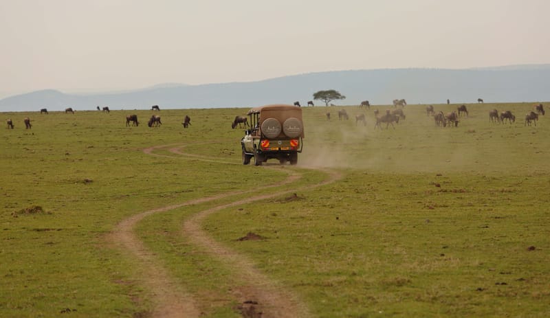 Game Drives