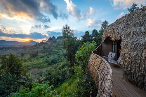 Nyungwe NP
