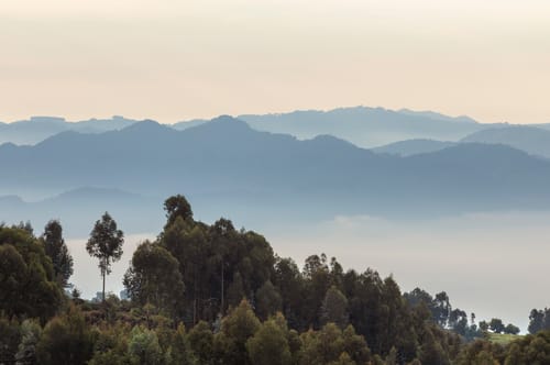 Virunga Mountains