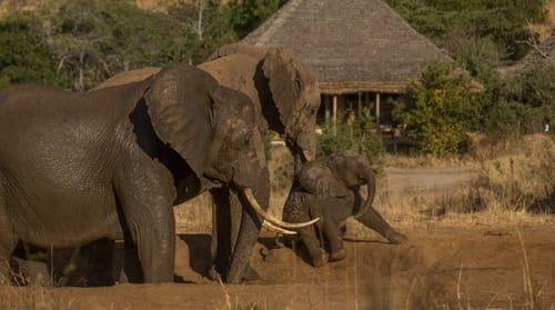 Lake Manyara