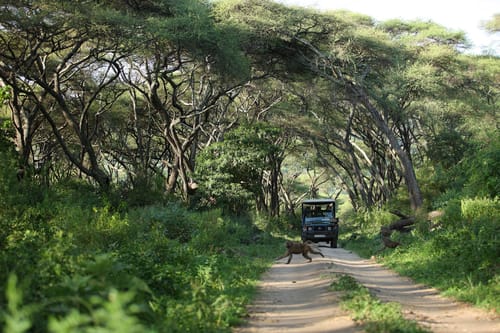 Lake Manyara