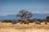 Lake Manyara