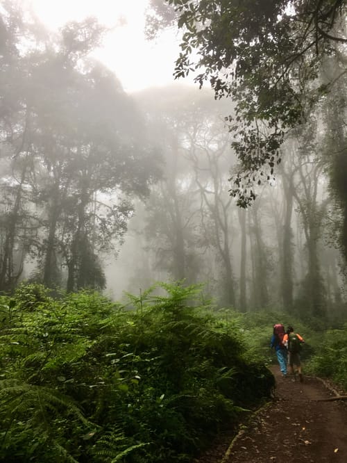 Mount Kilimanjaro