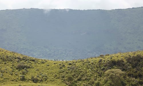 Ngorongoro