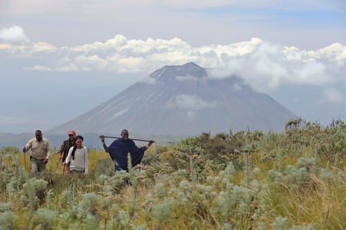 Ngorongoro