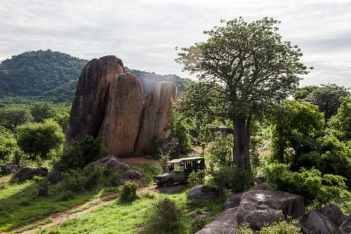 Ruaha