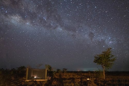 Ruaha