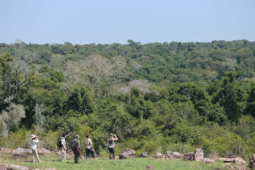 Rubondo