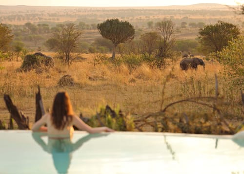 Serengeti