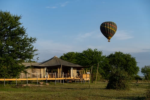 Serengeti