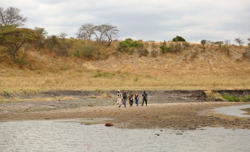 Tarangire