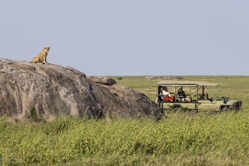 Kenya and Tanzania Combined Safari
