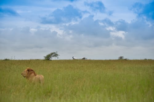 Indian Landscape
