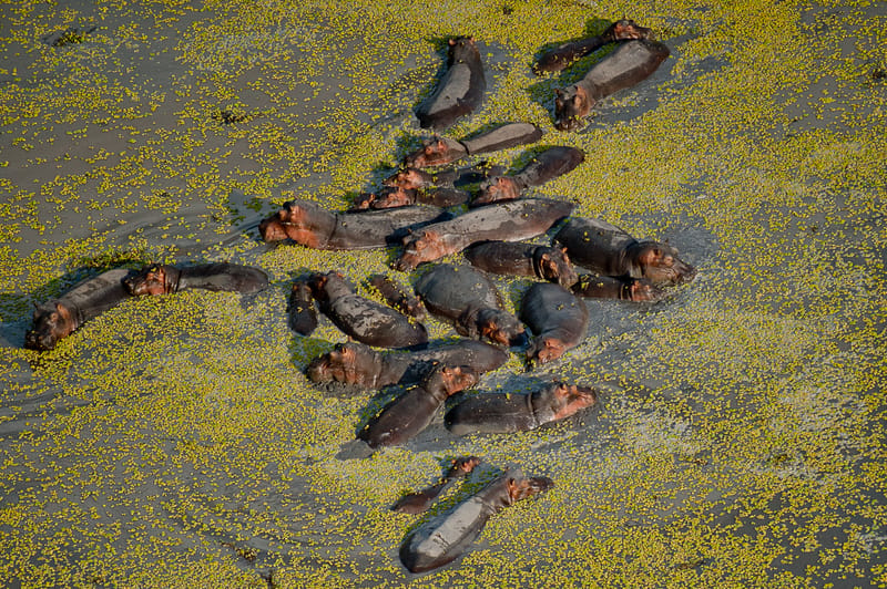 Remote Wilderness Expeditions