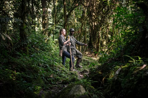 Bwindi