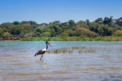 Lake Victoria