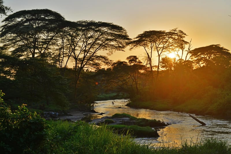 Murchison Falls Boat Safaris