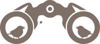 Exceptional Experiences Icon