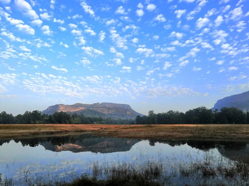 Wildlife at Bandhavgarh