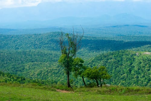 Bandipur National Park