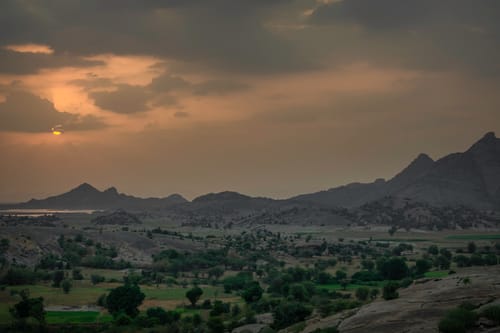 Leopard in Jawai