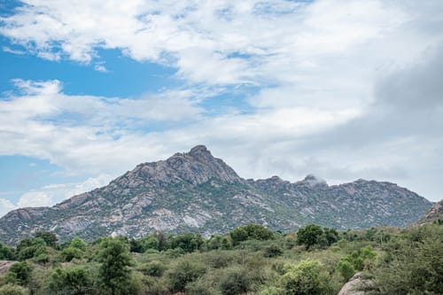 Leopard in Jawai