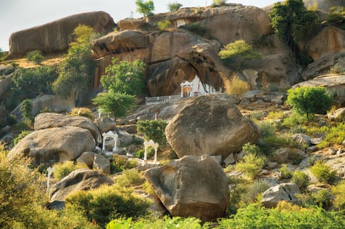 Leopard in Jawai