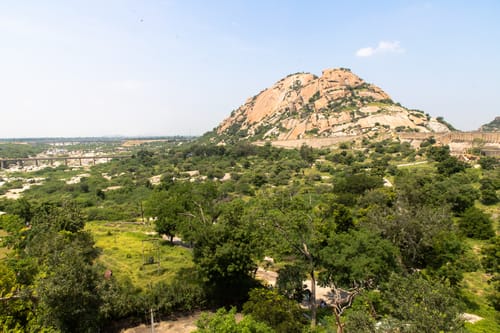 Leopard in Jawai