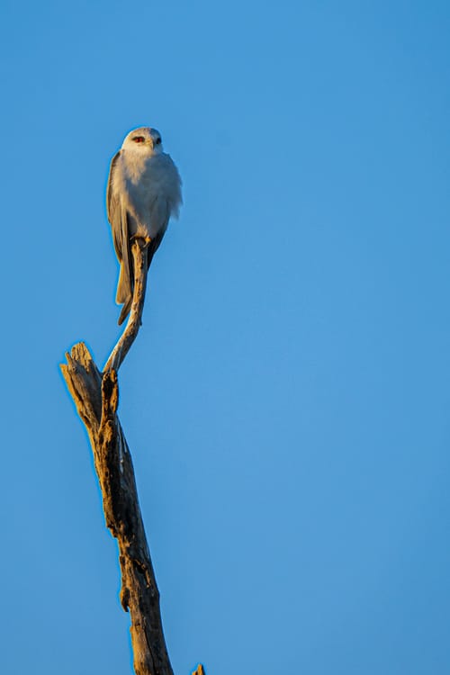 Jim Corbett National Park
