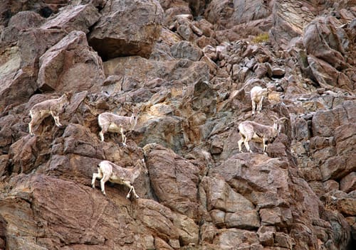 Ladakh