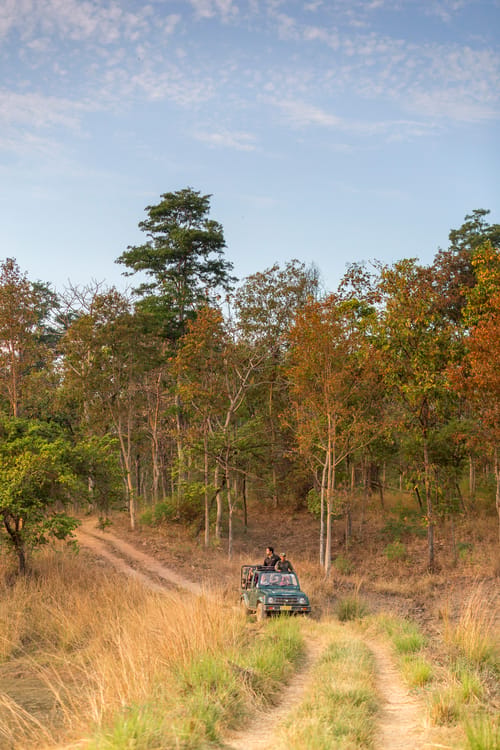 Satpura National Park