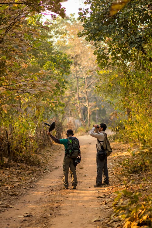 Satpura National Park