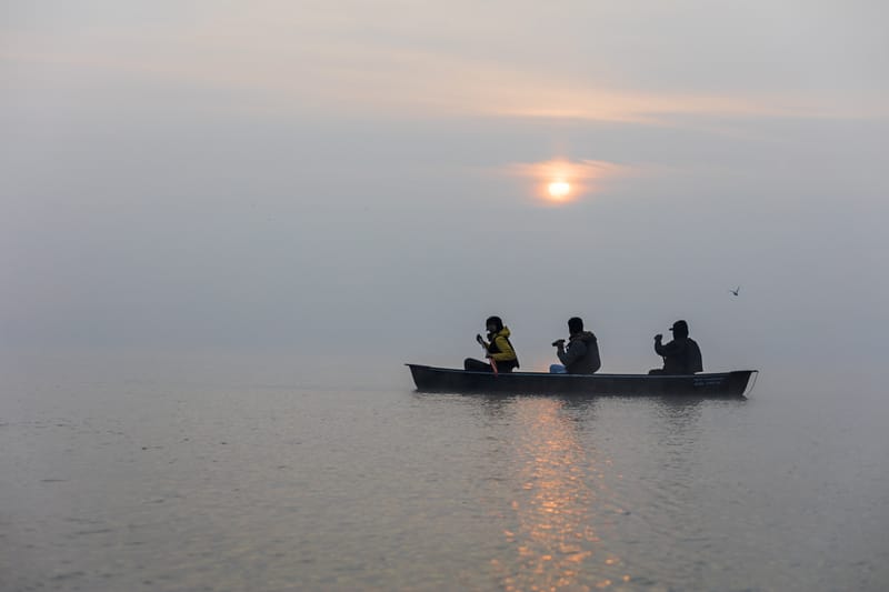 Boat Safaris