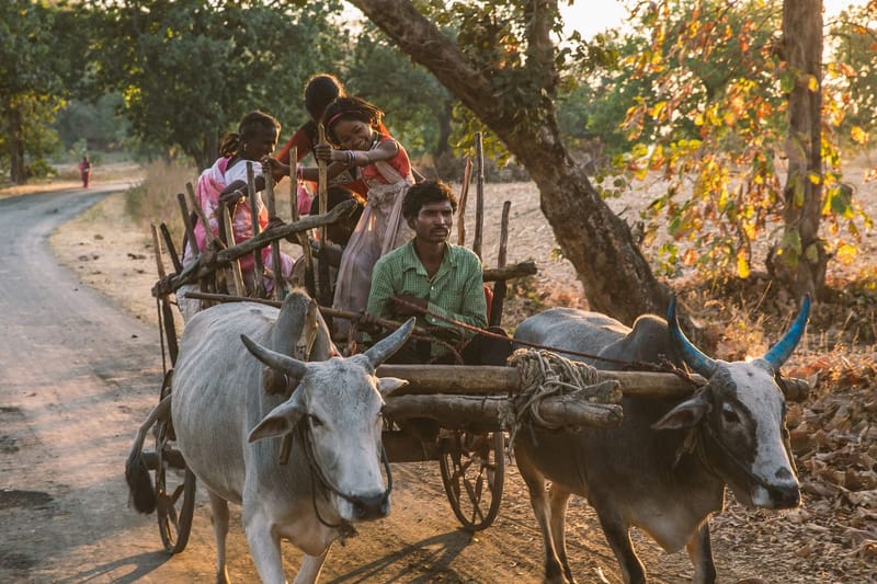 Conservation and Community Engagement