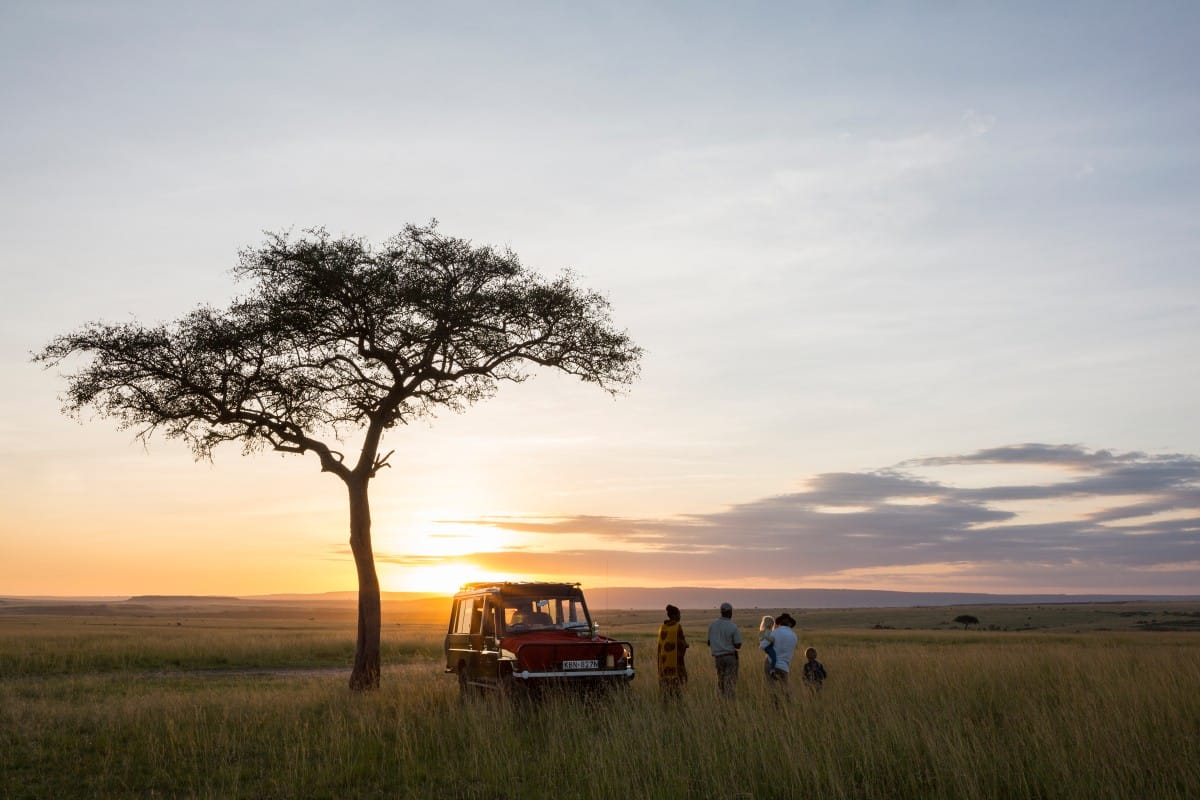 Wildlife safari jeep at sunset