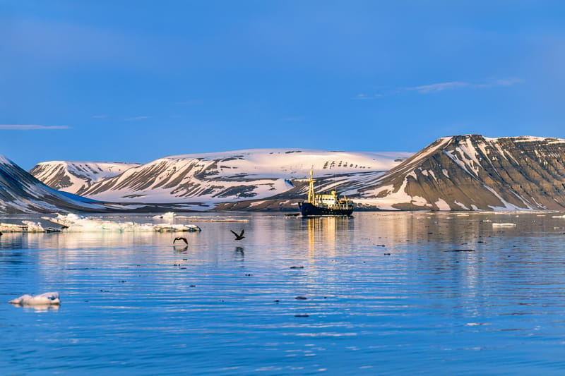Expedition Cruising