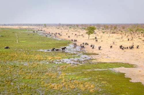Central Kalahari