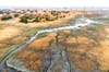 Central Kalahari