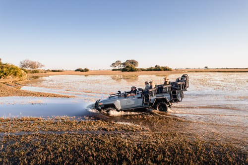 Botswana wildlife