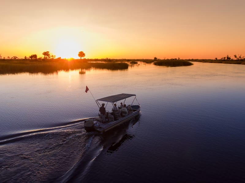 Chobe River Elephants
