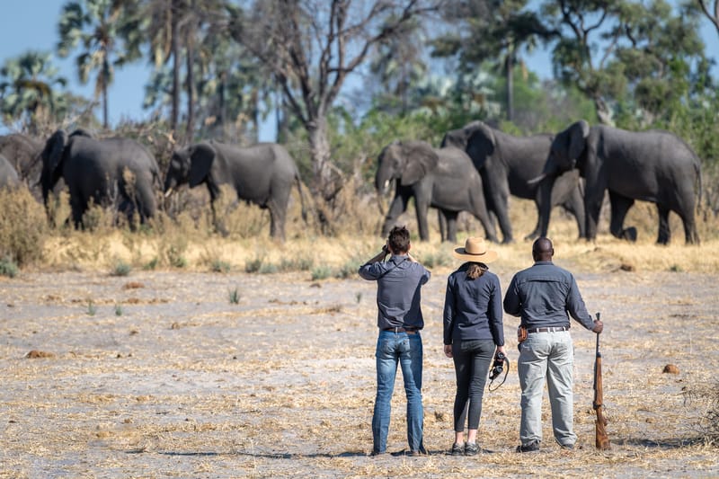 Kalahari Walking Safari
