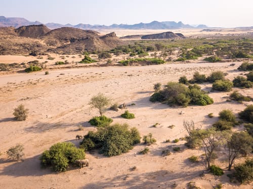 Damaraland